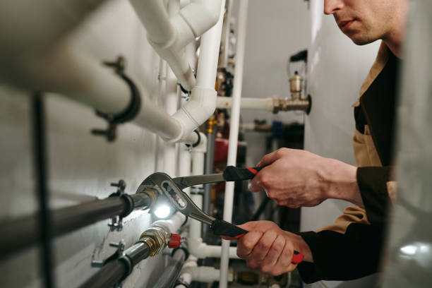 Best Plumbing Inspection Services  in Cassville, MO