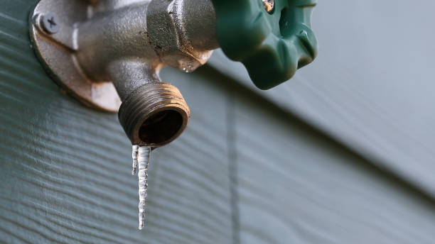 Best Sewer Line Repair  in Cassville, MO